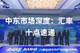 中东市场深度：汇率 十点速递