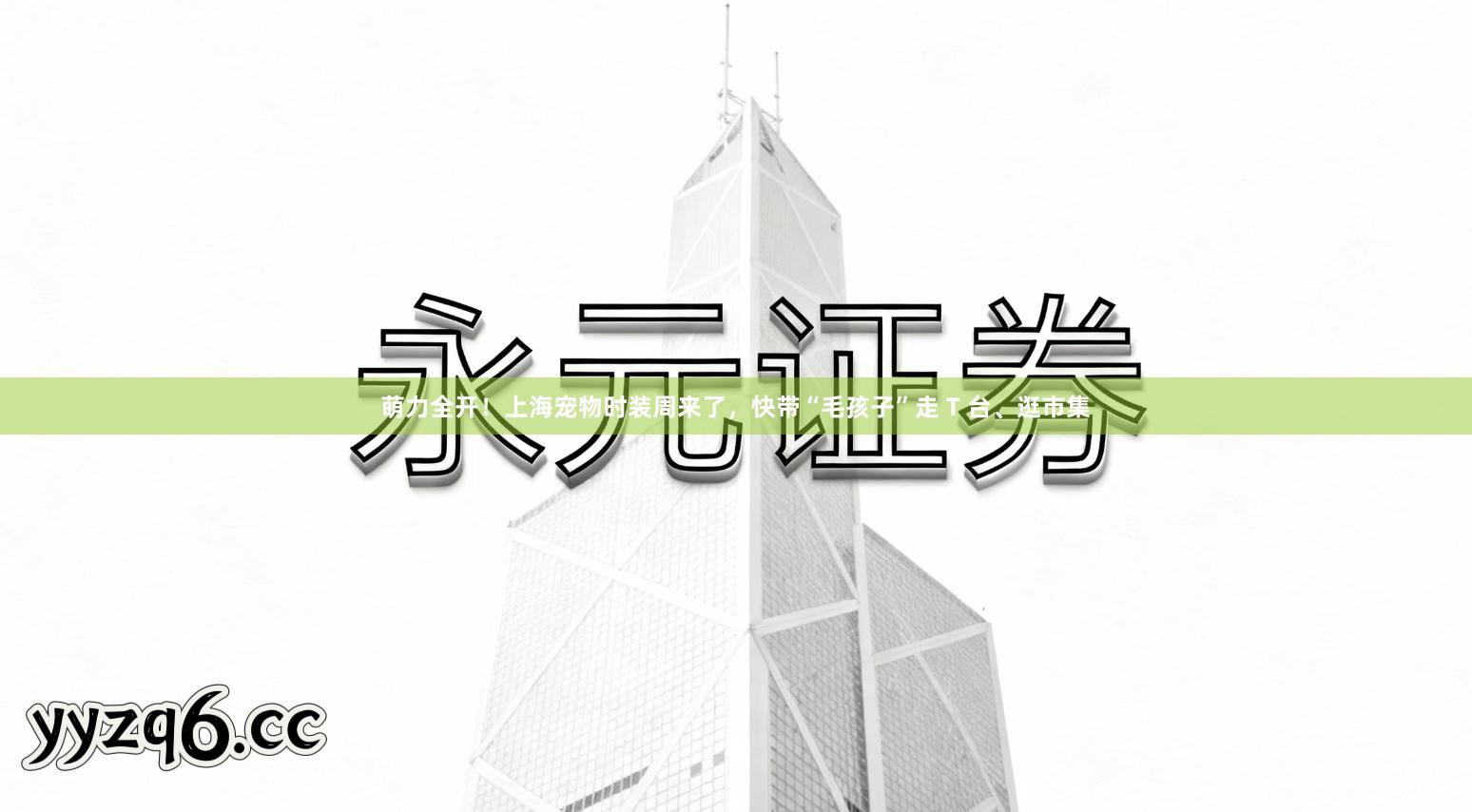 萌力全开！上海宠物时装周来了，快带“毛孩子”走 T 台、逛市集